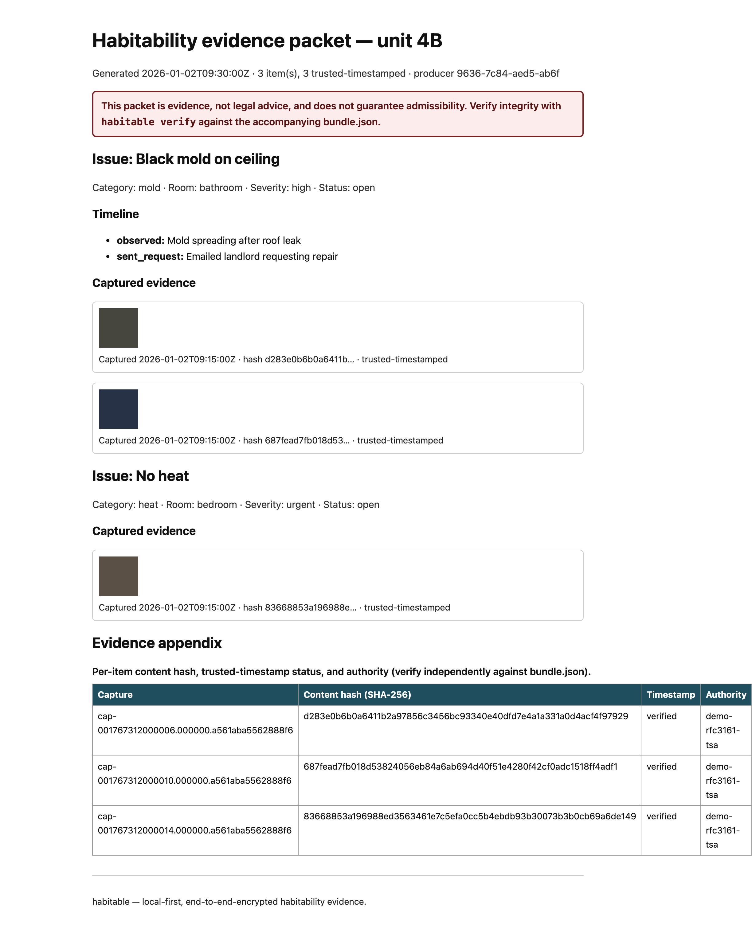 An accessible habitability evidence packet with an issue, a captured photo, and an evidence appendix table